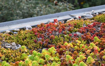 the cost of Woodham Mortimer green roof installation
